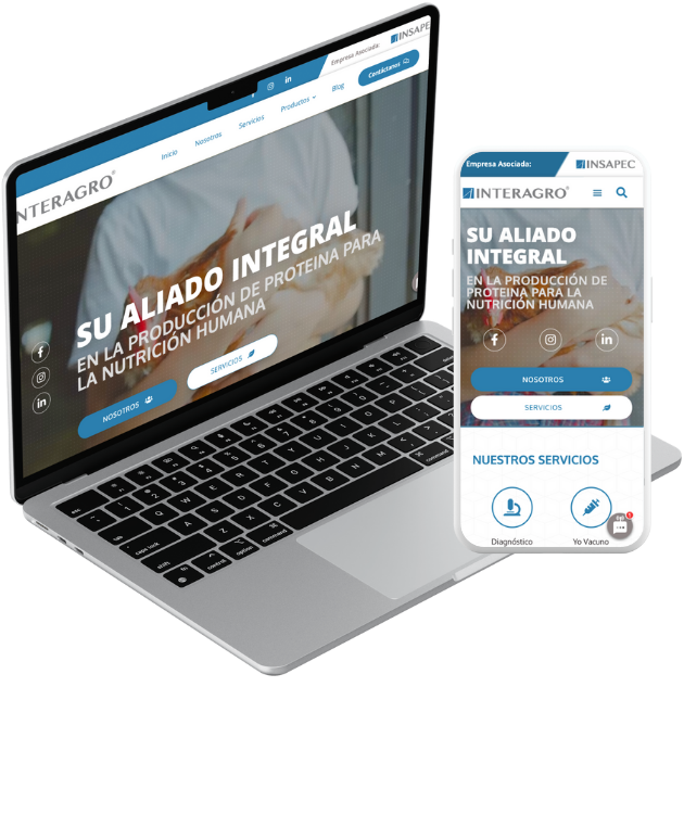 E-commerce para productores agrícolas