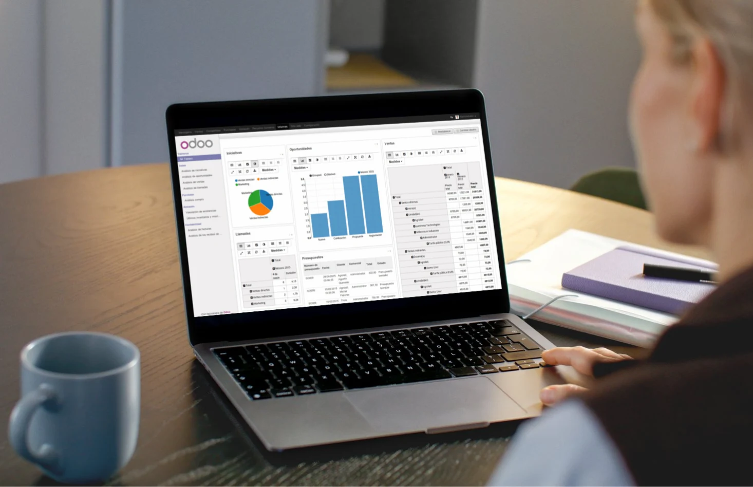 Implementación de ERP personalizado