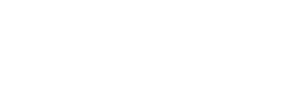 Logo de NetSuite