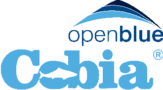 Open Blue, proyecto desarrollado por Go Online Now